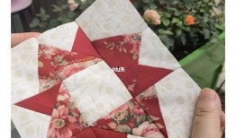 蘑菇爆料的视频大全集,视频大全集精彩瞬间回顾